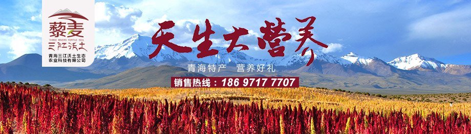 &#80;&#71;&#45;&#80;&#71;&#40;&#20013;&#22269;&#41;&#19968;&#31449;&#24335;&#26381;&#21153;&#23448;&#26041;&#32593;&#31449;